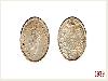 Evolution of the 25 Paise Coin