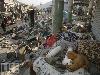 Worst Earthquakes