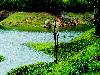A Day Out in Munnar Kerala