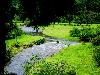 A Day Out in Munnar Kerala