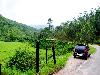 A Day Out in Munnar Kerala