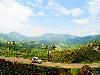 A Day Out in Munnar Kerala