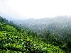 A Day Out in Munnar Kerala