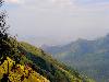 A Day Out in Munnar Kerala