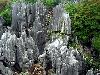 Amazing Stone Forest-Green Nature Photography