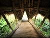 Green School in Bali