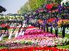 Largest Number of Hanging Flower Baskets World Record