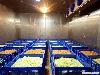 World Largest Kitchen Bangalore