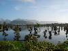 Beautiful Konkan