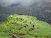 Beautiful Konkan