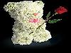 Dolls and Toys Made from Flowers
