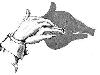 Shadow of Fingers