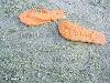 Funny Foot Prints