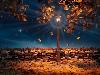 Incredible Food Landscape Art