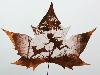Animations on the Leaf