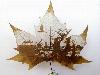 Animations on the Leaf