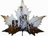 Animations on the Leaf