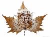 Animations on the Leaf