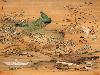 Awesome Peacock Paintings