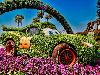 Beautiful Epcot International Flower Garden Festival Florida Photos