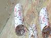 Toilet Paper Roll Artworks