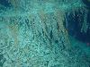 Amazing Underwater Images of Titanic-100 years after Titanic disaster