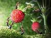 Fantastic Ants