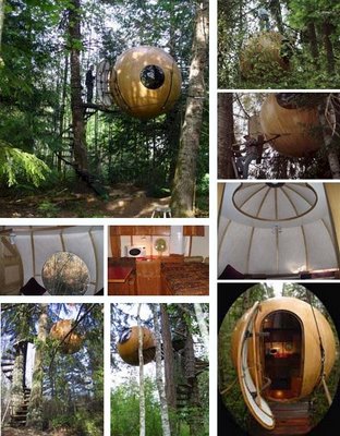Amazing Trees Extraordinary Perception