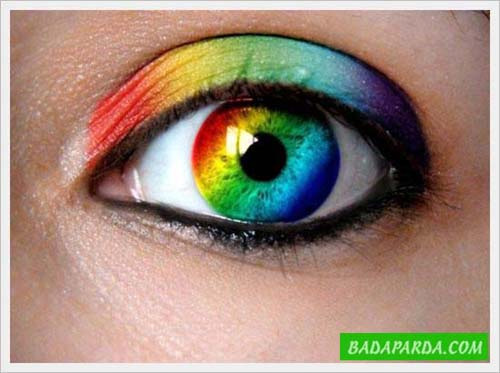 Our Cool Multicolor Life