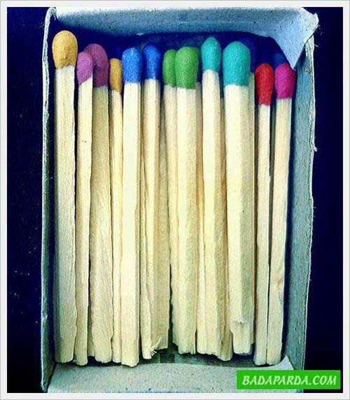 Our Cool Multicolor Life