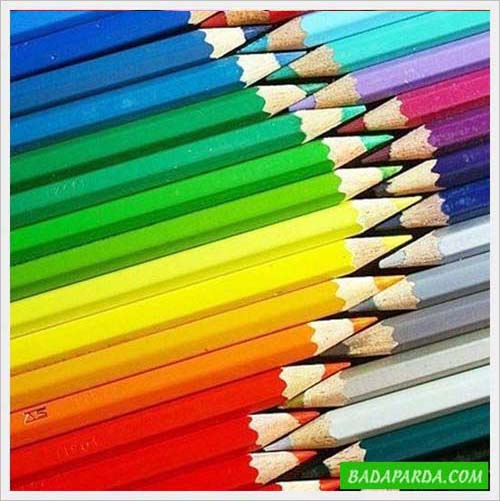 Our Cool Multicolor Life