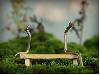 Mechanical Engineers Love