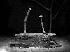 Mechanical Engineers Love