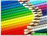 Our Cool Multicolor Life