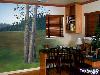 How to Paint Your House
