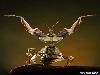 Micro-Excellent Photography