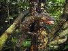 The Best Ever Camoufage