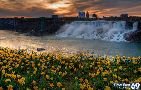 Amazing Water Falls