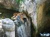 Amazing Water Falls