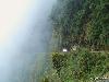 Most Dangerous Road in the World