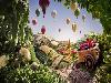 Carl Warner Mouth Watering Foodscapes
