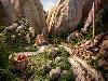 Carl Warner Mouth Watering Foodscapes