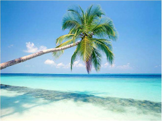 Our India Amazing-2