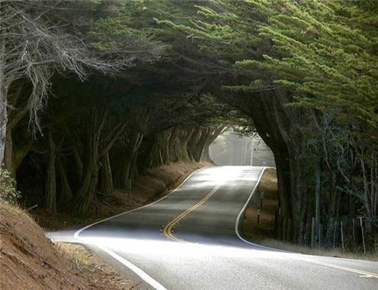 The Strangest and Most Beautiful Streets in the World