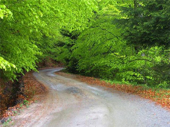 The Strangest and Most Beautiful Streets in the World