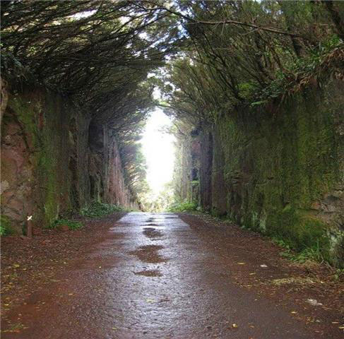 The Strangest and Most Beautiful Streets in the World