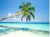 Our India Amazing-2