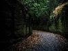 The Strangest and Most Beautiful Streets in the World