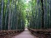 The Strangest and Most Beautiful Streets in the World