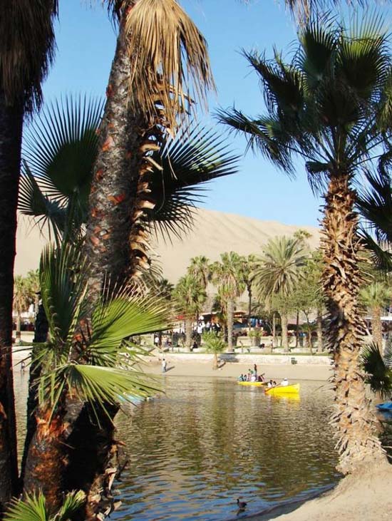 Oasis of America Huacachina